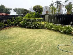 Shamrock Park (D10), Semi-Detached #630253441